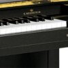 Clavier d'un piano C. Bechstein noir.