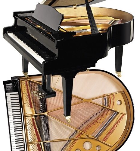 Piano acoustique à queue STEINGRAEBER & SÖHNE A-170 Noir Brillant