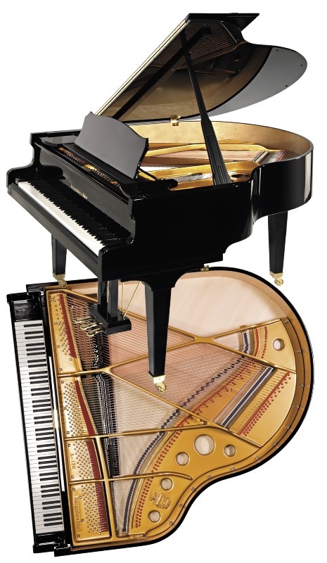 Piano acoustique à queue STEINGRAEBER & SÖHNE A-170 Noir Brillant