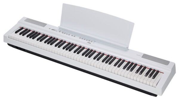 P-125 Blanc