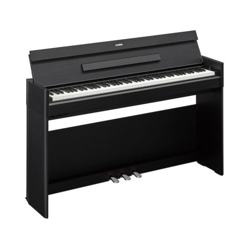 YDP-S55B