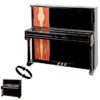 Piano acoustique droit Steingraeber & Söhne 122 T Vernis Twist&change