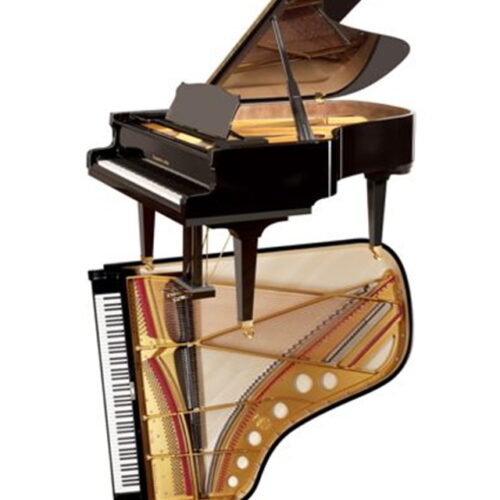 Piano acoustique à queue Steingraeber & Söhne B-192 Noir Brillant