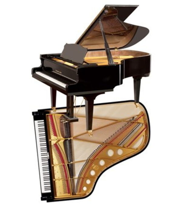 Piano acoustique à queue Steingraeber & Söhne B-192 Noir Brillant